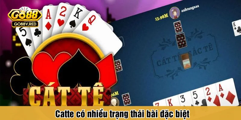 Catte có nhiều trạng thái bài đặc biệt
