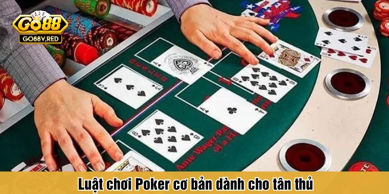 Luật chơi Poker cơ bản dành cho tân thủ 