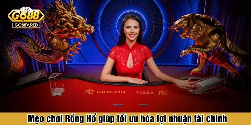 Mẹo chơi Rồng Hổ giúp hiểu đúng nhịp bàn