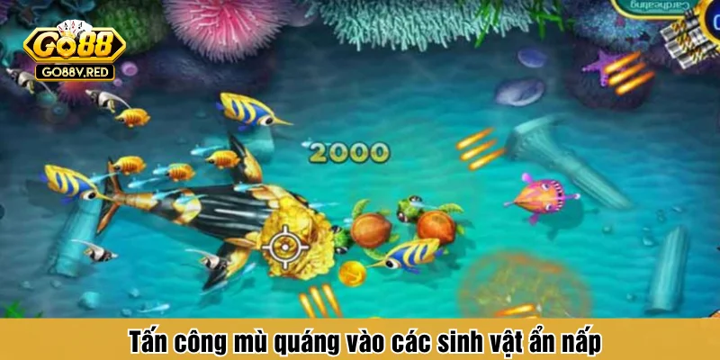 Tấn công mù quáng vào các sinh vật ẩn nấp